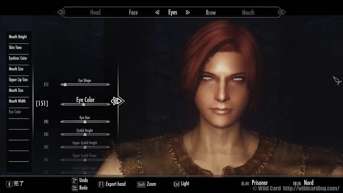 Skyrim男性キャラメイク入門