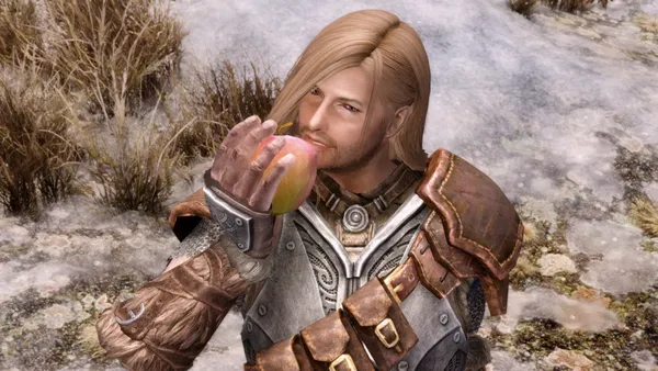 Ingarth the Starry-Eyed - Nord Male Follower