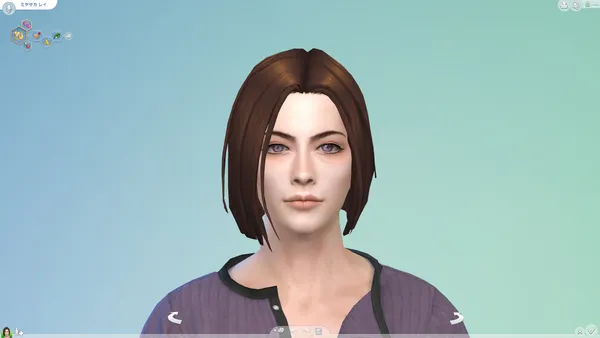 The Sims4：シムの配布