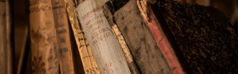 【Skyrim LE/SE】 結婚式のバグ・不具合対策