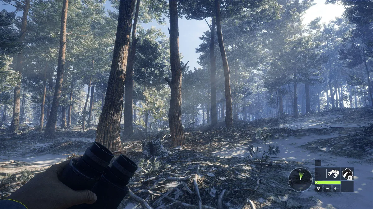 今から始めるtheHunter: Call of the Wild