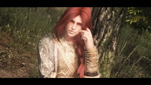 Estrion - Altmer Male Follower