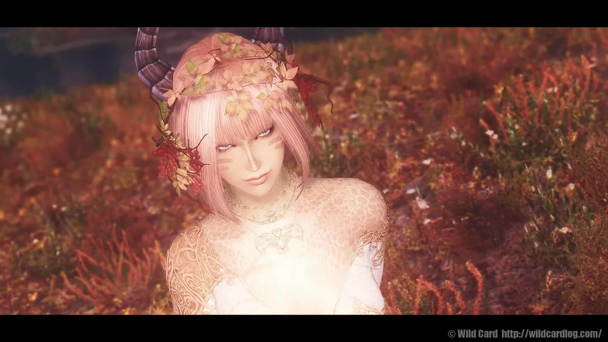 Half Dragon Raceのカスタマイズtips